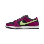 Nike SB Dunk Low Pro ACG Terra Red Plum
