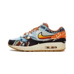Nike Air Max 1 SP Concepts Heavy