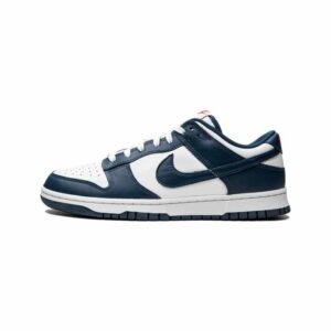 Nike Dunk Low Valerian Blue