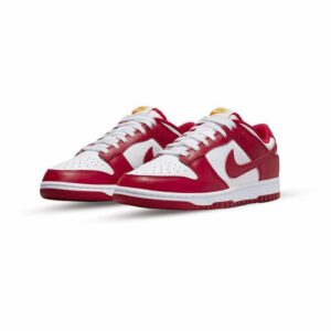 Alternative view of Nike Dunk Low USC