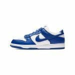Nike Dunk Low SP Kentucky