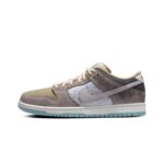 Nike SB Dunk Low Big Money Savings