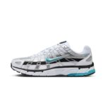 Nike P-6000 Dusty Cactus