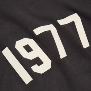 Fear of God Essentials 1977 Hoodie Iron - 3